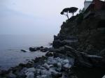 clic per ingrandire