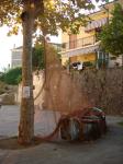 clic per ingrandire
