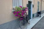 clic per ingrandire