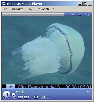 video Pescatore del Golfo 2005 (2)
Immagini e video subacquei
durata 6:01 (6min 1sec)
formato wmv 320x240
16.2 MB (17'077'419 bytes)